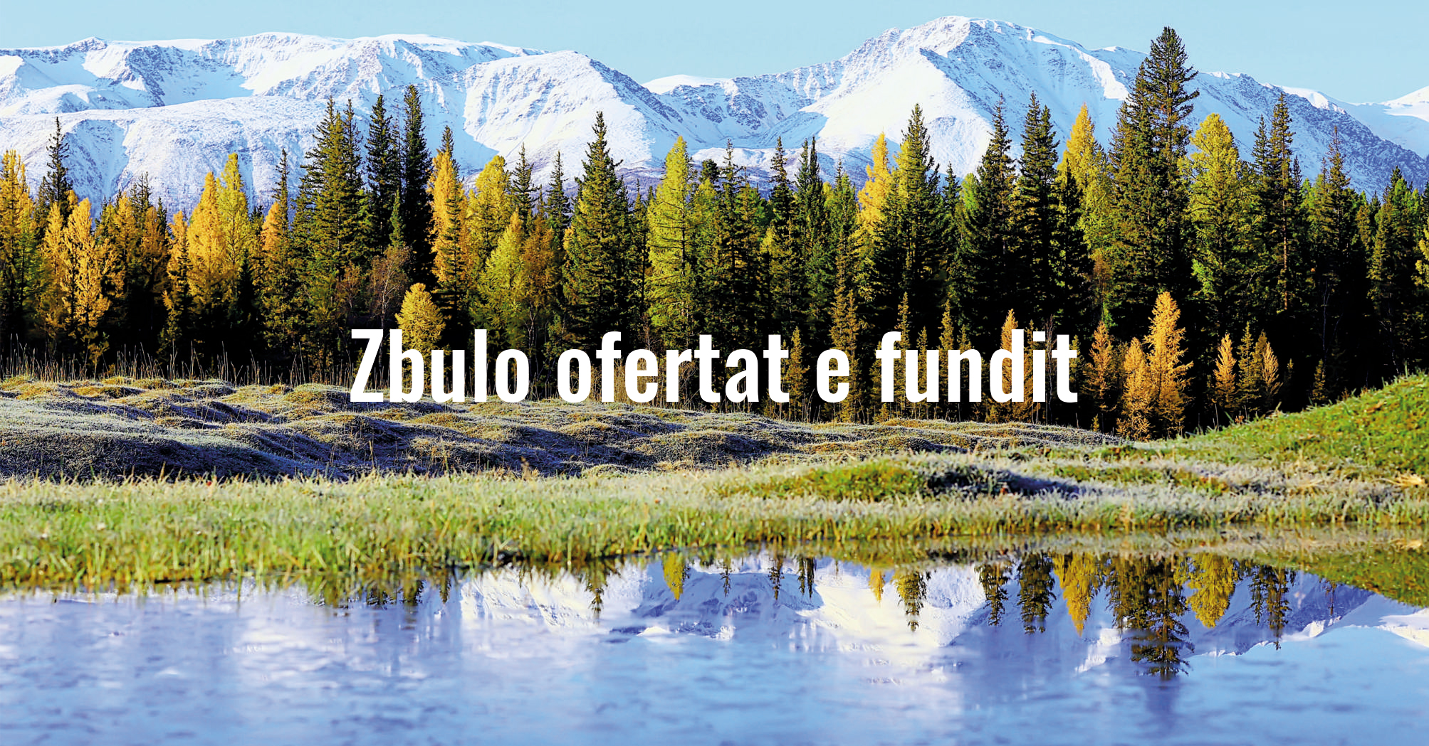 Zbulo ofertat e fundit