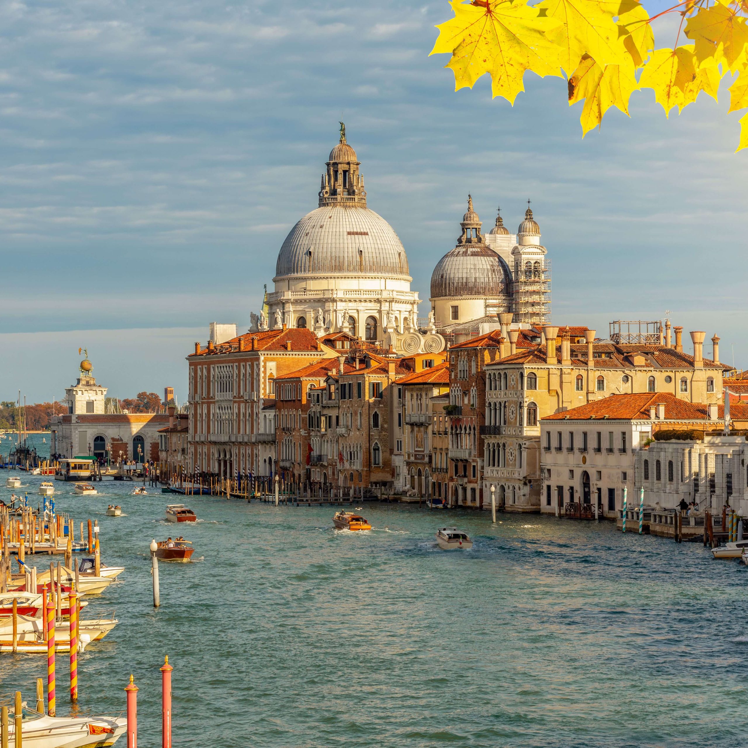 Tetori bëhet ari, kur beson te Blue Travel